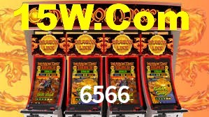 6566